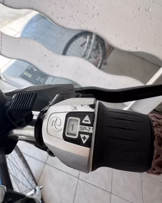 Bici elettrica Batavus con motore Bosch