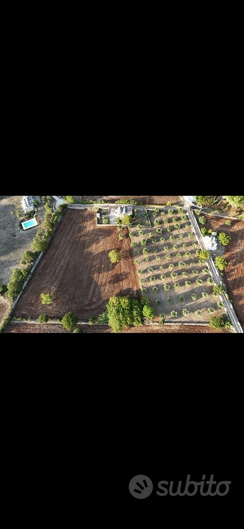 Terreno rustico - Vista 2