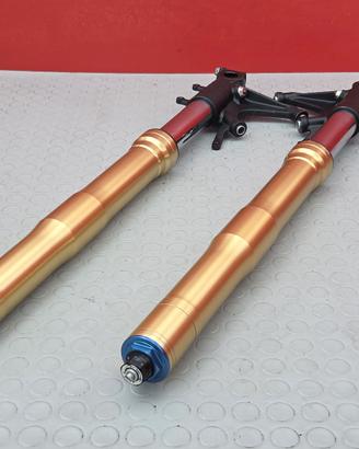 STELI FORCELLA HONDA CBR 600 RR 2005 2006 CBR600