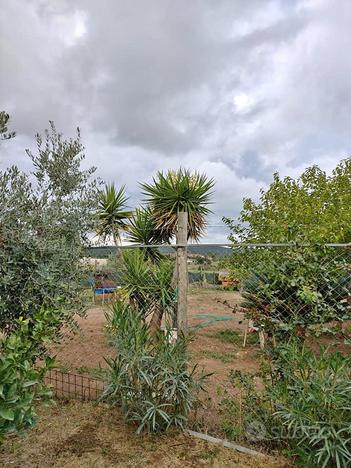 Terreno con volumi per costruire vicino grosseto