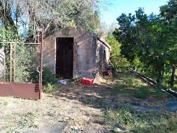 Acireale Guardia terreno agricolo