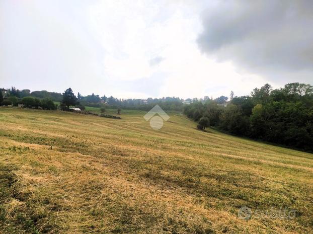 TER. AGRICOLO A SANTARCANGELO DI ROMAGNA