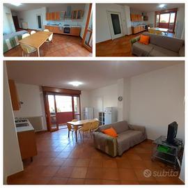 Cesena camere per studenti