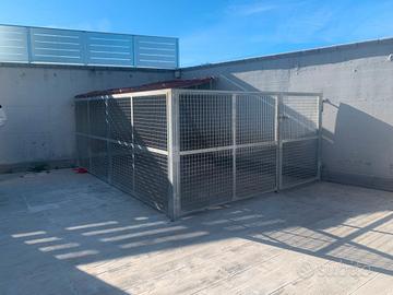 box cane in ferro zincato 