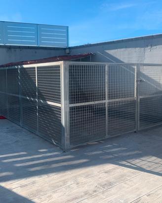 box cane in ferro zincato 