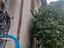 Immagine 8