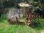 Immagine 26