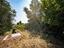 Immagine 27