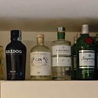 Lotto unico 56 bottiglie di gin VUOTE