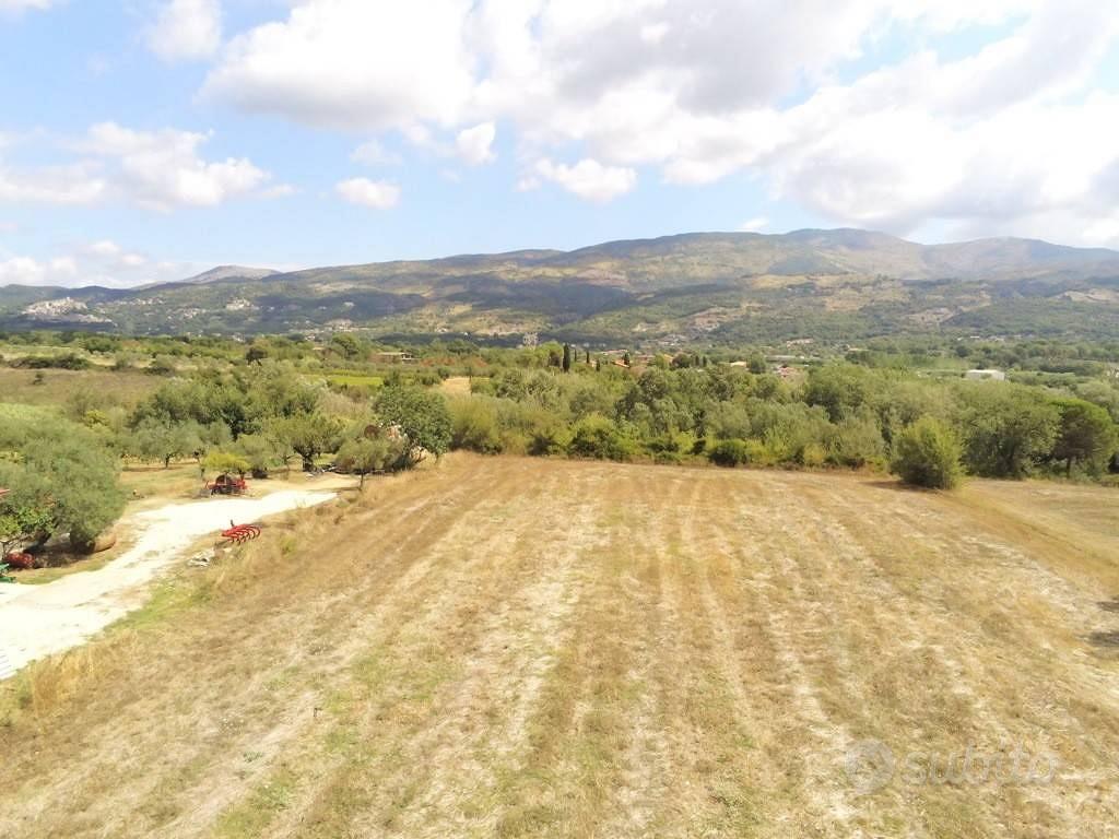 Terreno di 6000 m² a Ausonia - Vista 3