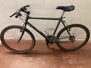 Bicicletta Mountain bike