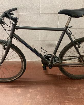 Bicicletta Mountain bike