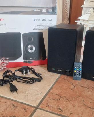 Casse stereo 