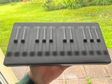 ROLI Seaboard M (24 tasti) + Software (Equator 2)