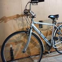 bicicletta alluminio uomo citybike