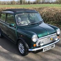 Mascherina griglia mini Cooper Rover classica