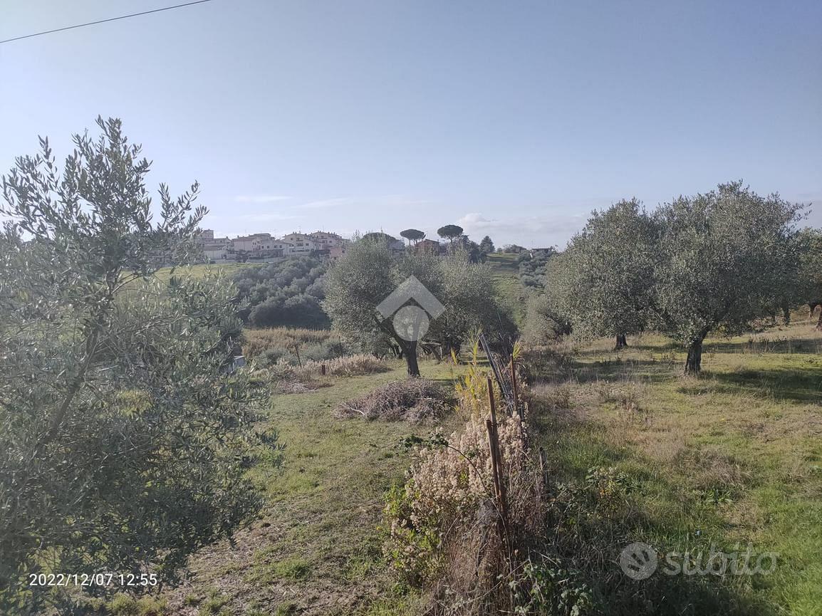TER. AGRICOLO A MENTANA - Vista 3