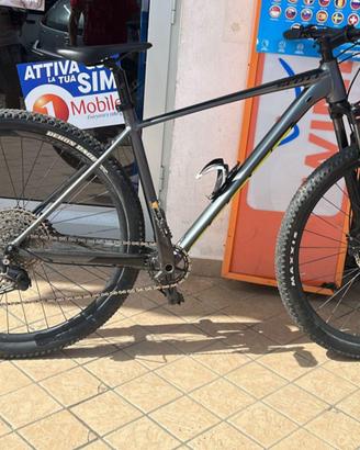 bici scott scale 980