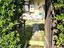 Immagine 18