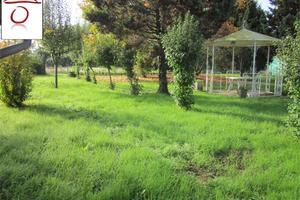 CASA SINGOLA CON AMPI SPAZI ED AMPIO SCOPERTO