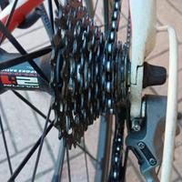 BICI CORSA PALETTI  CARBONIO 