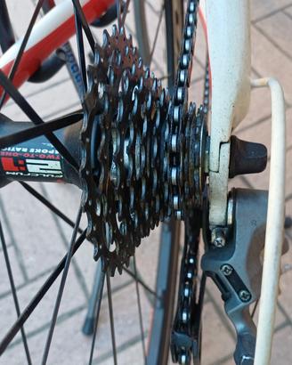 BICI CORSA PALETTI  CARBONIO 