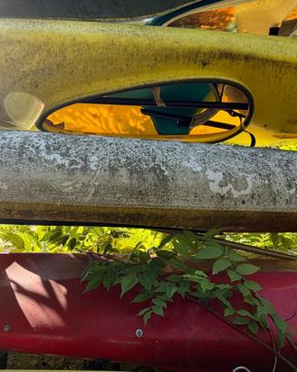 Canoe professionali