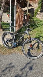 Megamo Factory tg M XX1 AXS Quark FOX 34 Kashima