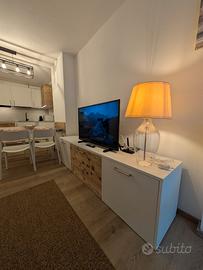 Trilocale con posto auto - aff stagionale