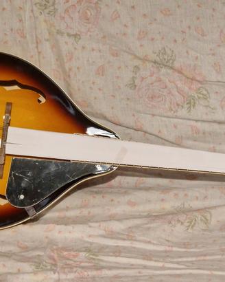 Mandolino Rayzm