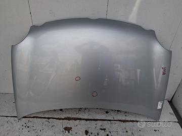 6QE823031B COFANO ANTERIORE VOLKSWAGEN POLO (9N1) 