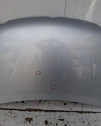 6QE823031B COFANO ANTERIORE VOLKSWAGEN POLO (9N1) 