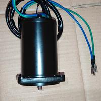 Motorino trim 40/737 Johnson/Evinrude Garanzia