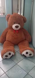 Peluche orso
