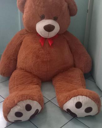 Peluche orso