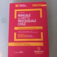 Manuale di diritto processuale civile