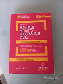 Manuale di diritto processuale civile