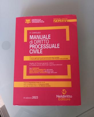 Manuale di diritto processuale civile