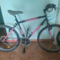 Bici MTB 26 ita trattabile 