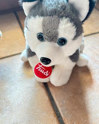 Trudi coniglietto e husky