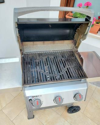 weber bbq,gas