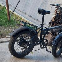 fat bike elettrica