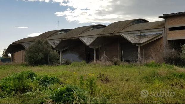 Capannone Industriale Elmas [Cod. rif 3208794VCG]