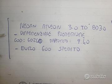 Gruppo differenziale post nissan atleon
