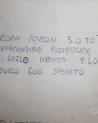 Gruppo differenziale post nissan atleon