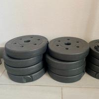 Set di 2 manubri con piastre