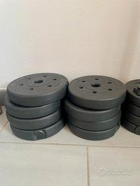 Set di 2 manubri con piastre