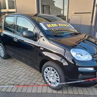 Fiat Panda Pandina 1.0 FireFly 65 CV Hybrid Icon