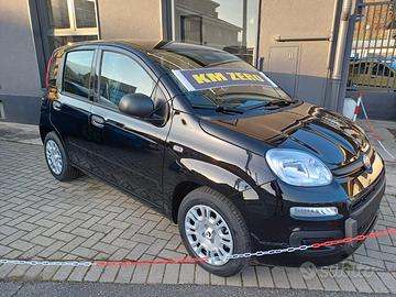 Fiat Panda Pandina 1.0 FireFly 65 CV Hybrid Icon