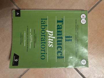 Il tantucci plus laboratorio 2
